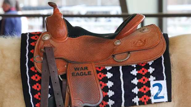 Auburn Equestrian